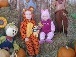 IMG_2348