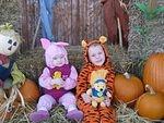 IMG_2352