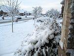 IMG_2631