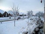 IMG_2634